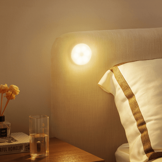 Motion Sensor Light